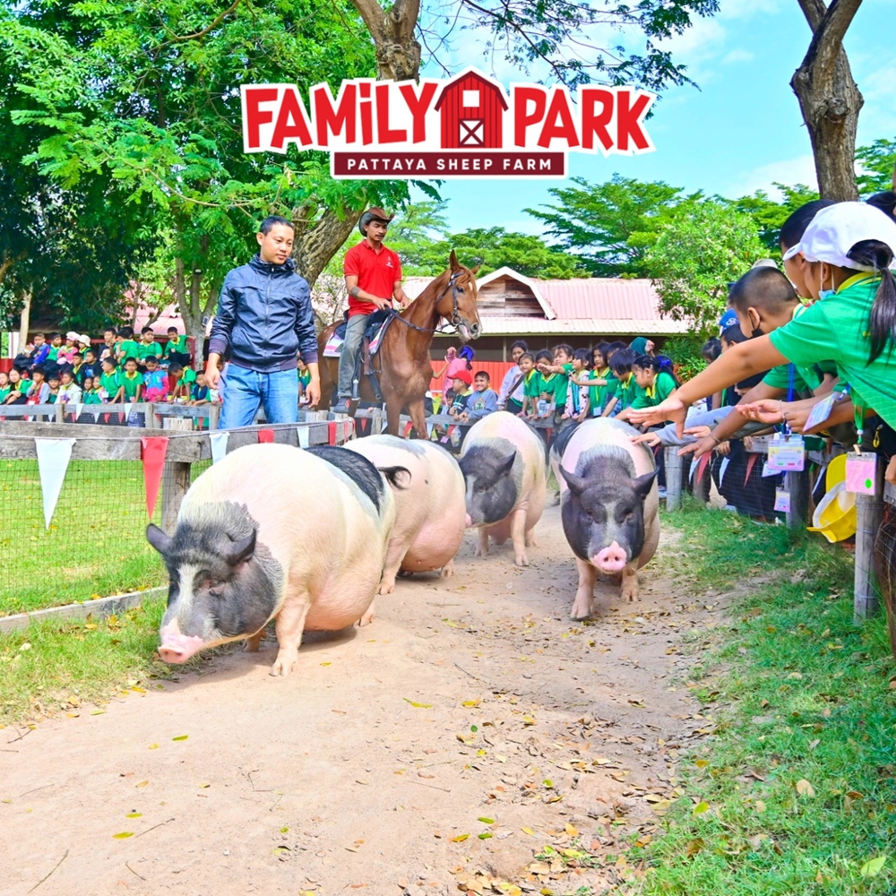 상품 갤러리 이미지 1