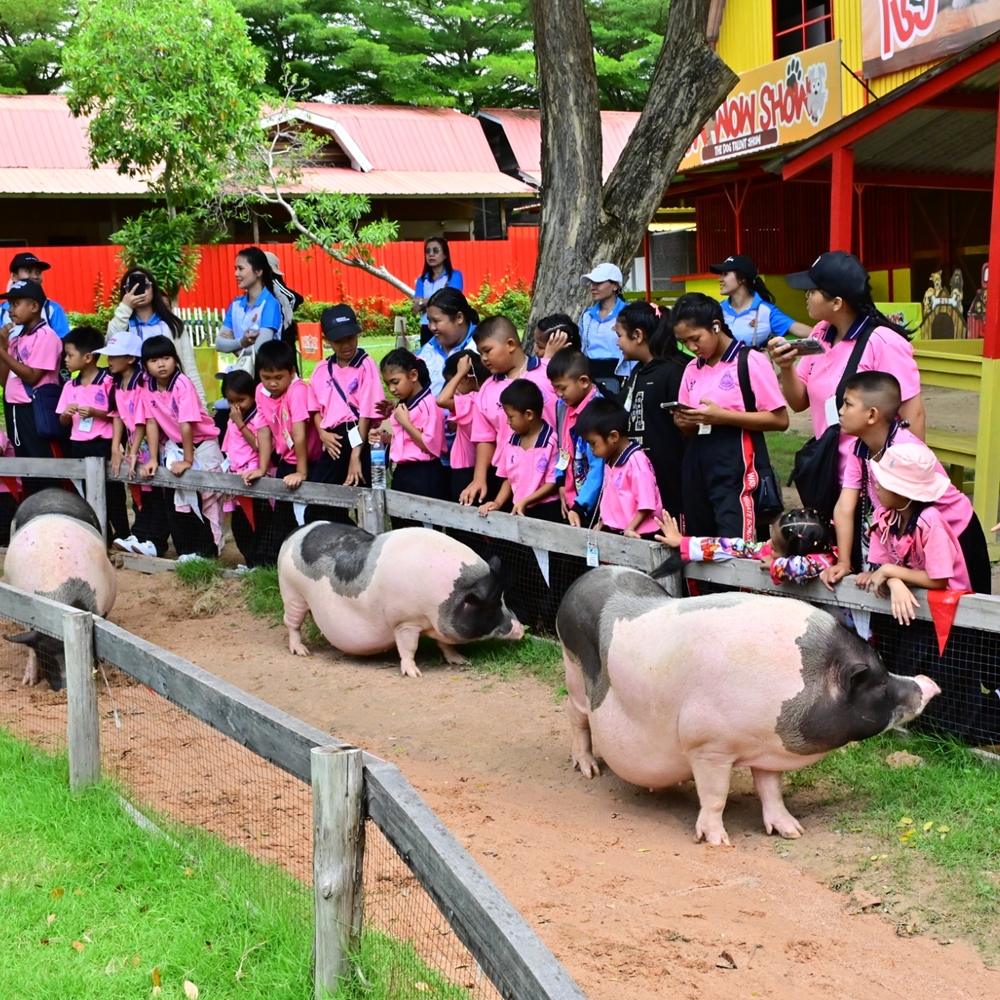 상품 갤러리 이미지 2