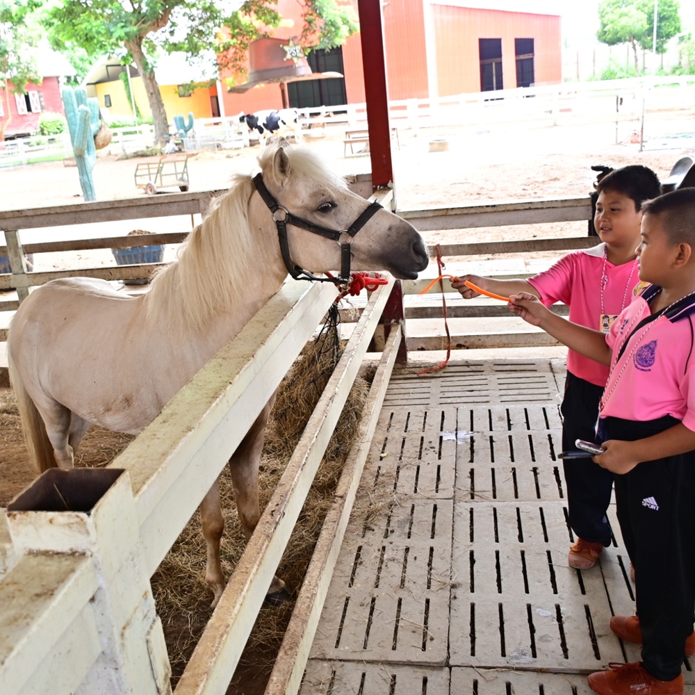 상품 갤러리 이미지 4