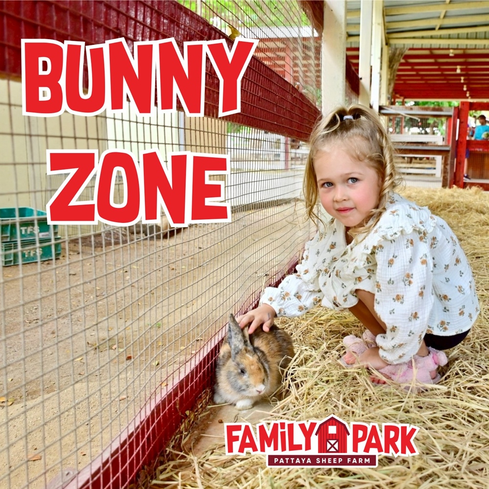 상품 갤러리 이미지 6