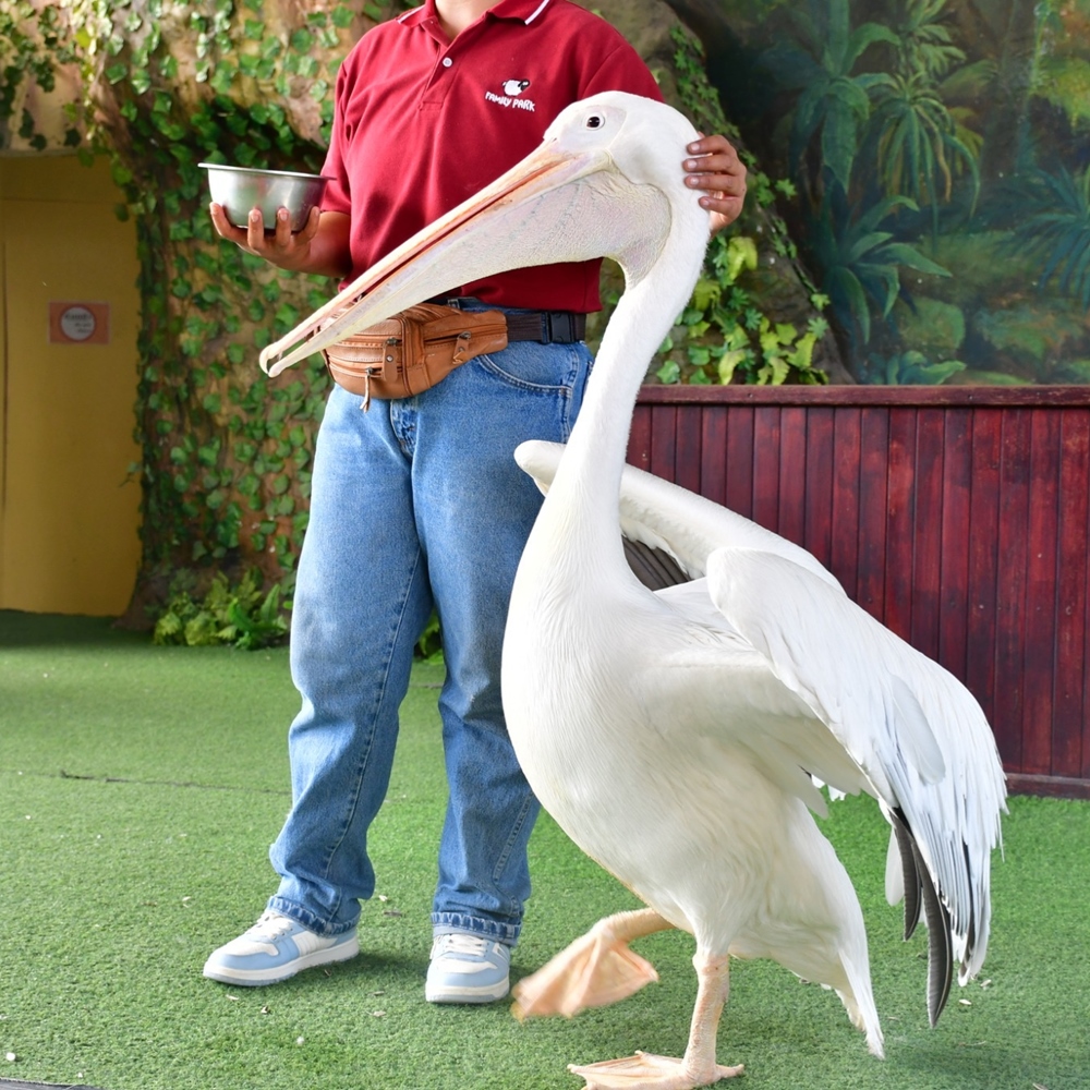 상품 갤러리 이미지 8