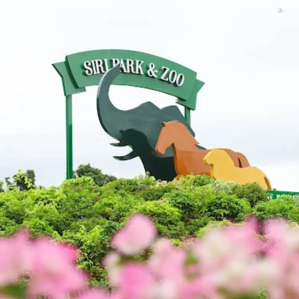 상품 갤러리 이미지 1