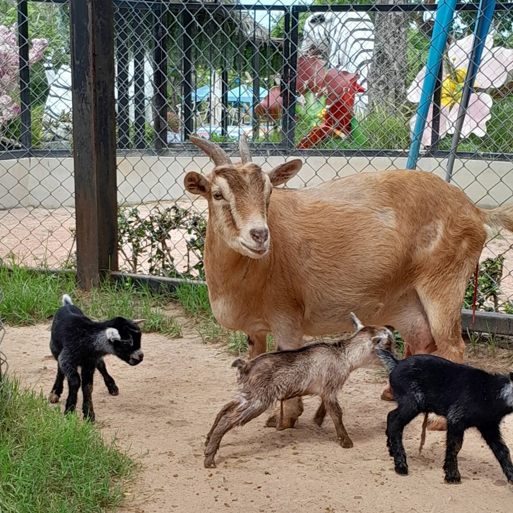 상품 갤러리 이미지 8