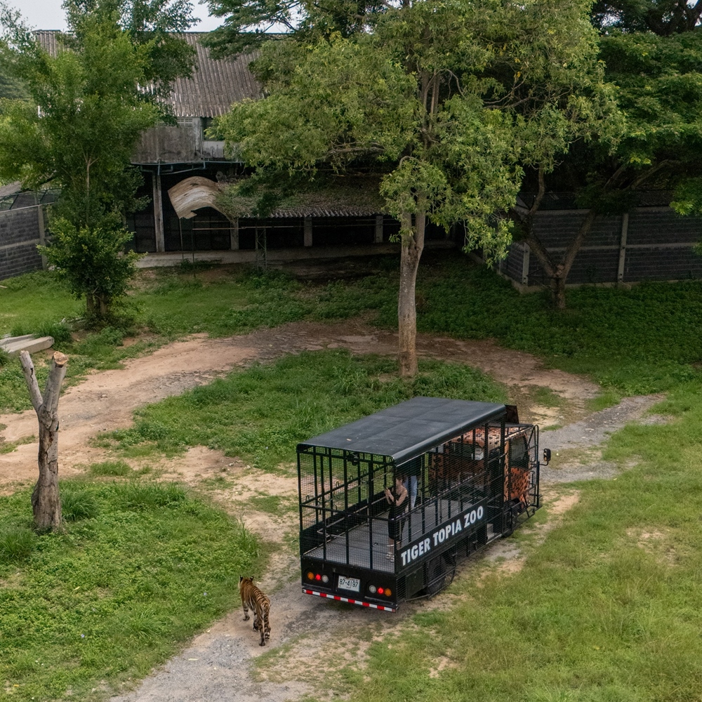 상품 갤러리 이미지 9