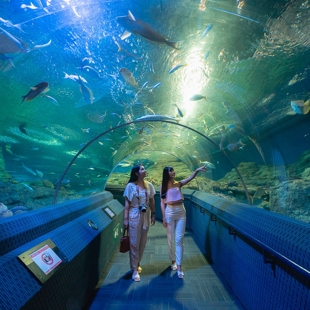 상품 갤러리 이미지 2