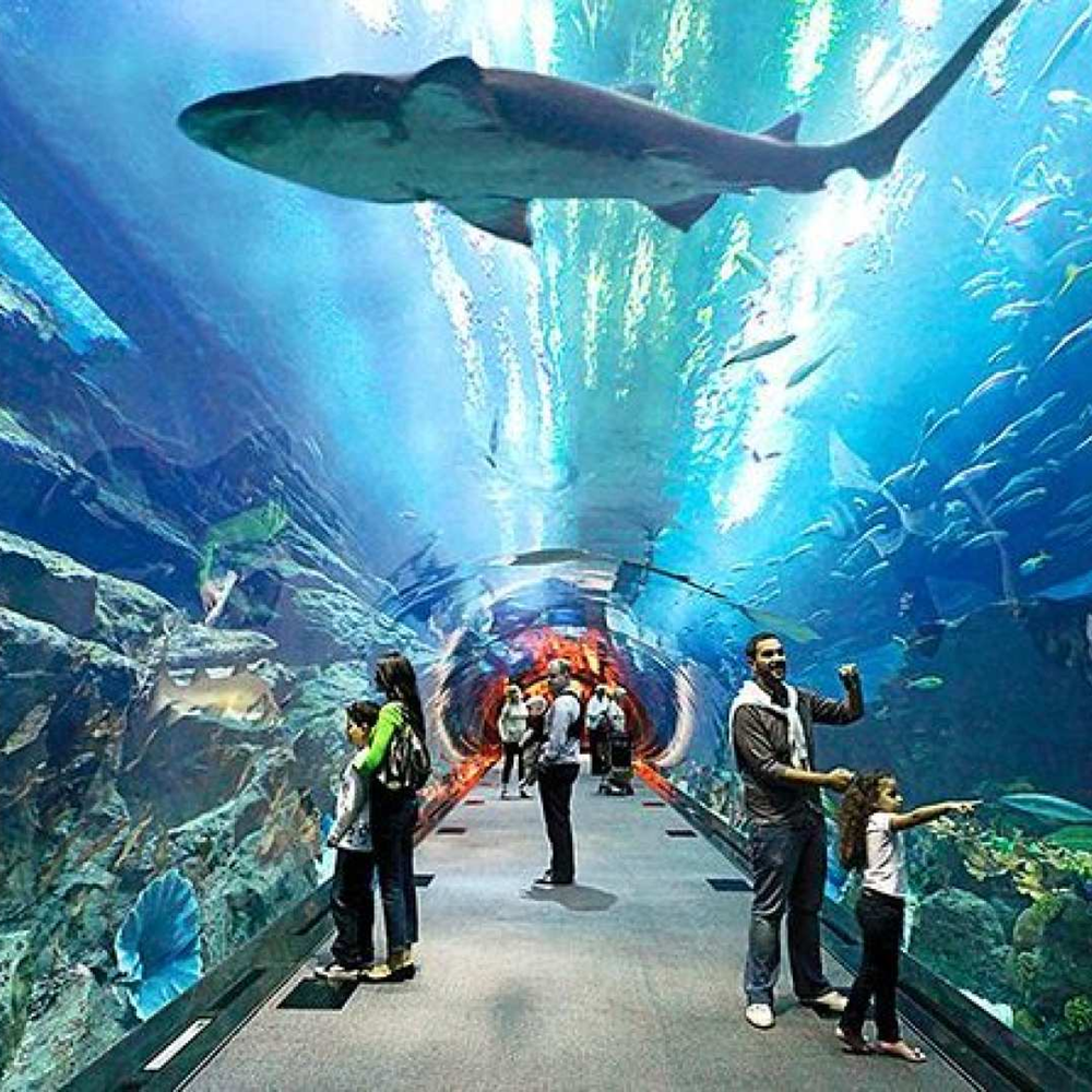 상품 갤러리 이미지 3