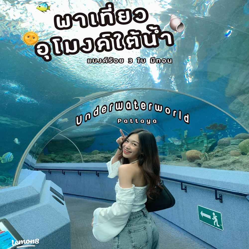 언더 워터 월드 파타야 🦈