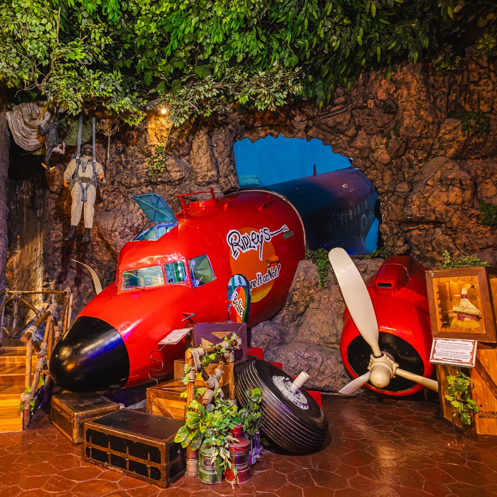 상품 갤러리 이미지 2