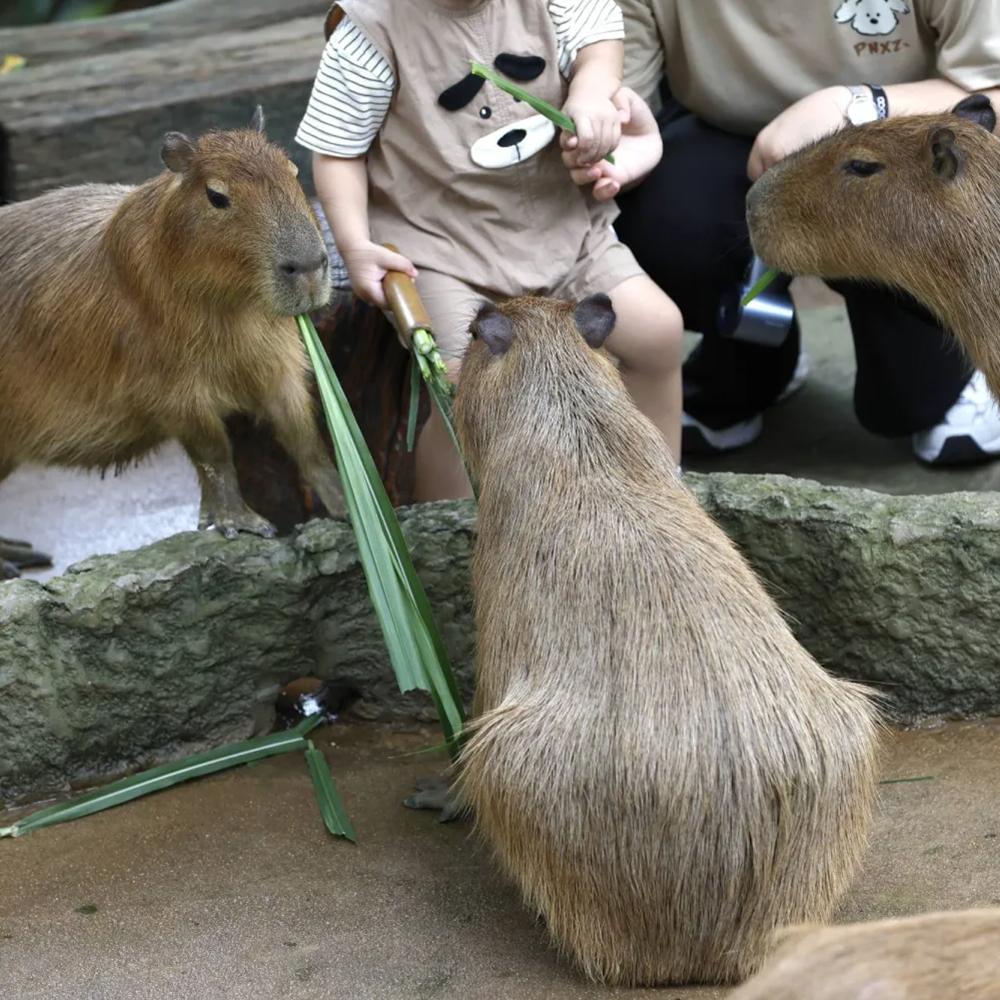 갤러리
