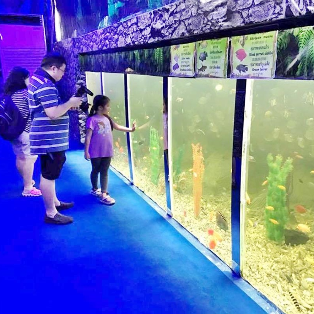 갤러리