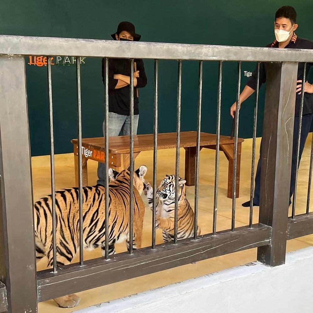 갤러리