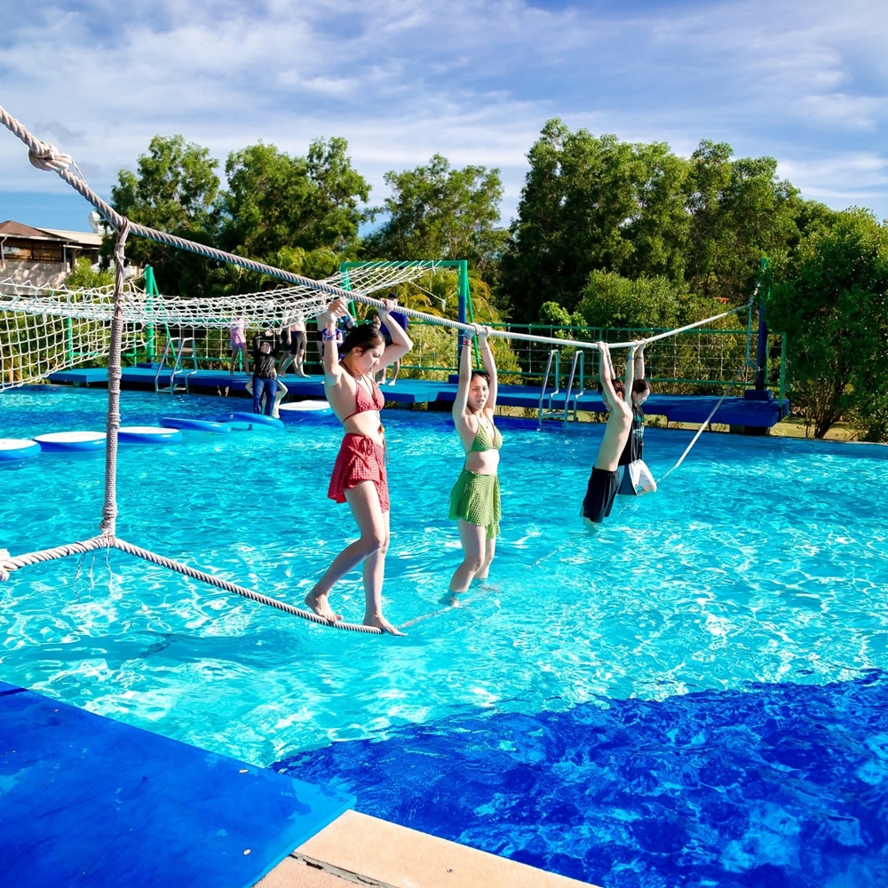 갤러리