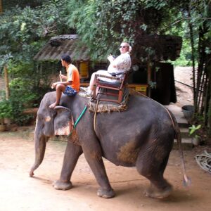 카오치찬 코끼리 트래킹 🐘